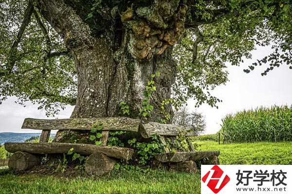 湖南特教中等專業(yè)學校有哪些特色專業(yè)？有資助政策嗎？