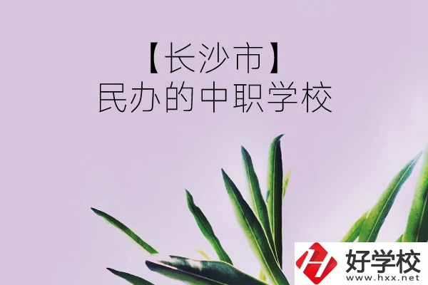 長沙市有哪些民辦的中職學(xué)校？