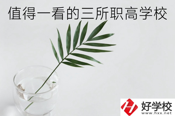 湖南有什么好的職高學(xué)校？這3所學(xué)校值得一看！