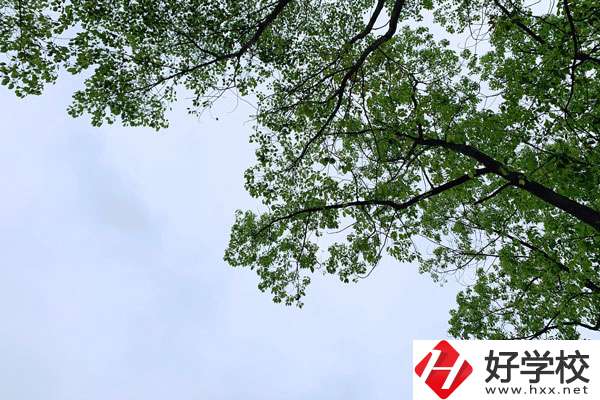 衡南縣職業(yè)中專學(xué)校的宿舍和食堂環(huán)境怎么樣？