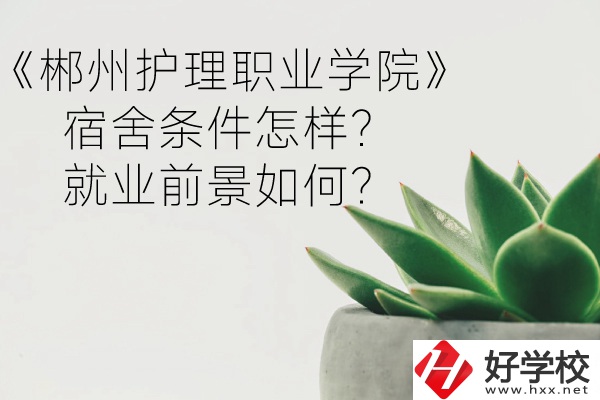 郴州護(hù)理職業(yè)學(xué)院宿舍條件怎樣？就業(yè)前景如何？
