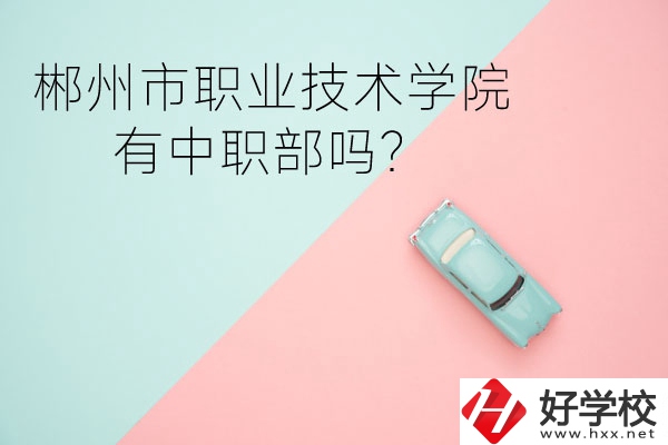 郴州市職業(yè)技術學院有中職部嗎？