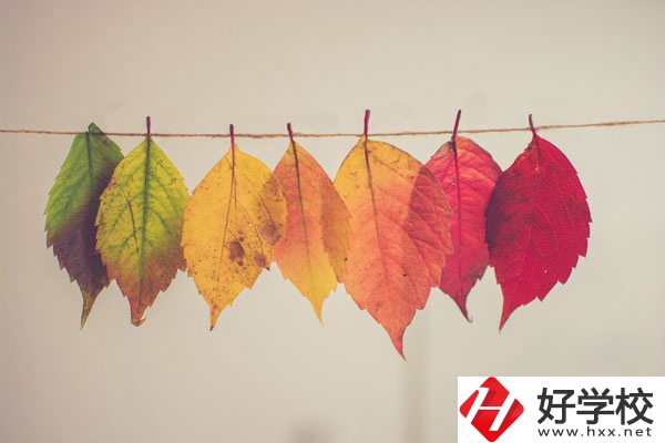 長(zhǎng)沙益立中等職業(yè)學(xué)校特色專(zhuān)業(yè)