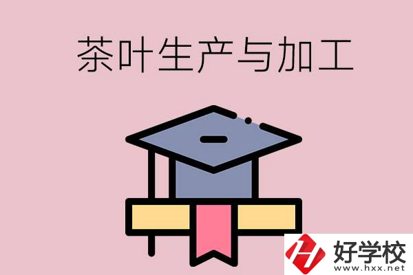 湖南哪些技校開設了茶葉生產與加工專業(yè)？