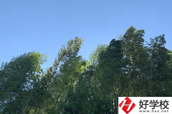 張家界協(xié)力技工學(xué)校好不好？就業(yè)前景怎么樣？