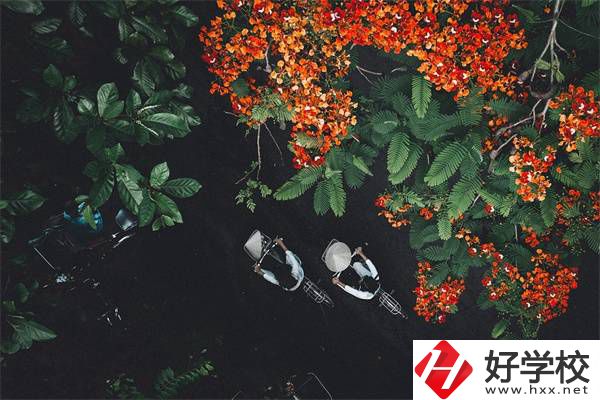 湖南分?jǐn)?shù)低選私立高中還是選職校？選職校還能統(tǒng)考嗎？