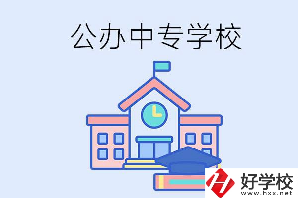 湘西一共有多少所公辦的中專學(xué)校？