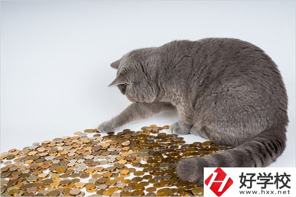 邵陽(yáng)的職高一年學(xué)費(fèi)是多少？比較便宜的學(xué)校有哪些？