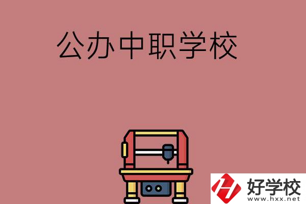 長沙可以學(xué)計算機(jī)應(yīng)用專業(yè)的公辦中職學(xué)校有哪些？