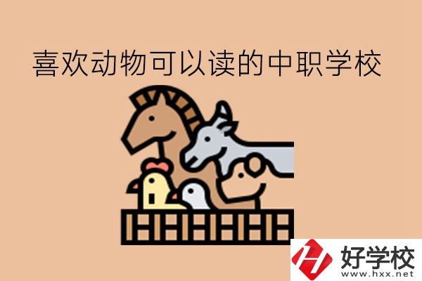 喜歡動物的學(xué)生，可以讀這些中職學(xué)校!