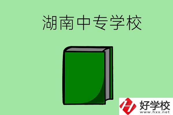 湖南的中專學(xué)校有哪些？都開設(shè)了哪些專業(yè)？