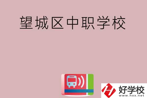 長沙望城區(qū)有哪些中職學校？