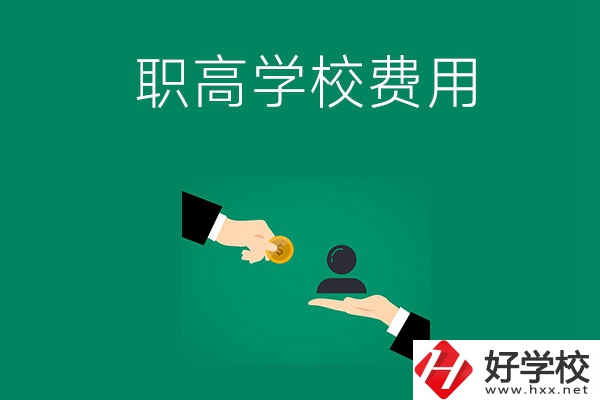 上懷化的公立職高學(xué)校要多少費(fèi)用？