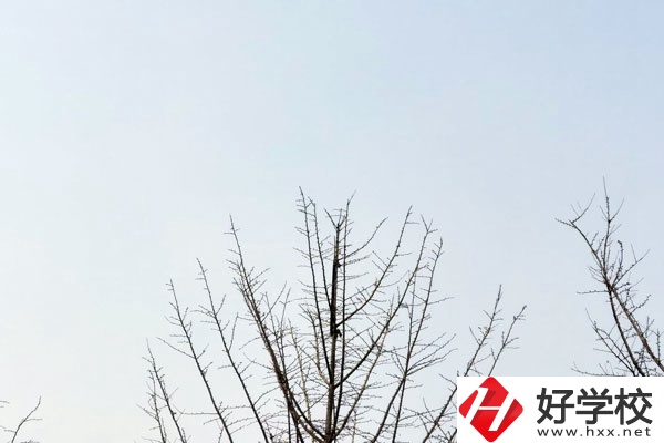 益陽第一職業(yè)中專學(xué)校怎么樣？值得報(bào)考嗎?