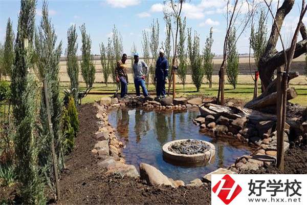 在湖南中職學(xué)哪些專業(yè)更容易考本科？