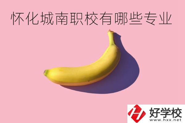 懷化城南職業(yè)學(xué)校有哪些專業(yè)？學(xué)校好不好？