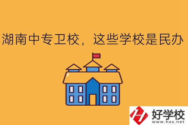 湖南中專衛(wèi)校，這些學(xué)校是民辦!