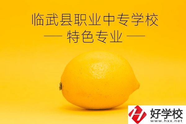 臨武縣職業(yè)中專學(xué)校好嗎？有哪些特色專業(yè)？