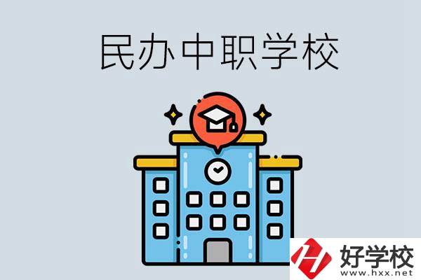婁底新化縣的民辦中職學校一共有多少所？