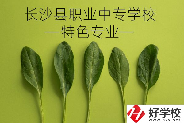 長沙縣職業(yè)中專學(xué)校怎么樣？有什么特色專業(yè)？