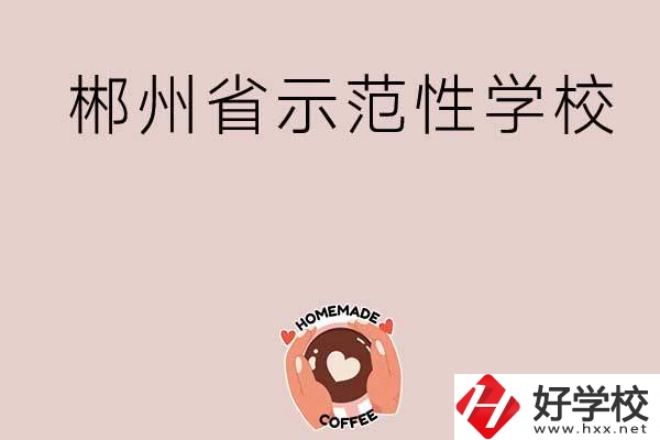 郴州有省示范性的公辦中職學校嗎？