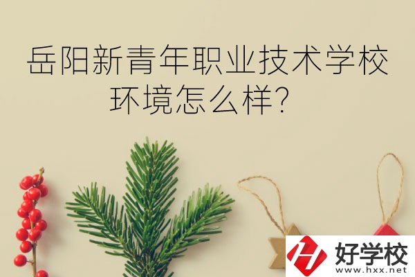 岳陽(yáng)新青年職業(yè)技術(shù)學(xué)校好不好？環(huán)境怎么樣？