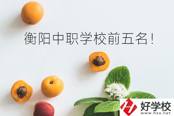 衡陽中職學(xué)校前五名！你選對了嗎？