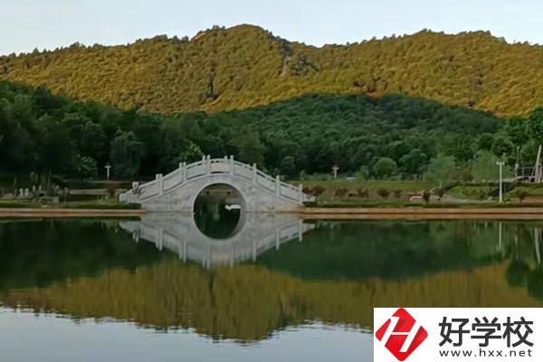 想在新寧縣讀中專學(xué)校？推薦這兩所