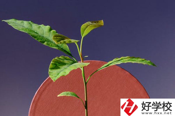 株洲市工業(yè)中等專校怎么樣？好不好？