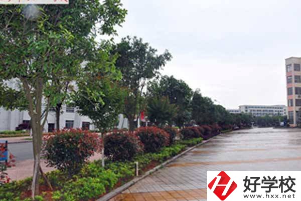 長沙市電子工業(yè)學(xué)校開設(shè)了哪些專業(yè)，附招生要求？