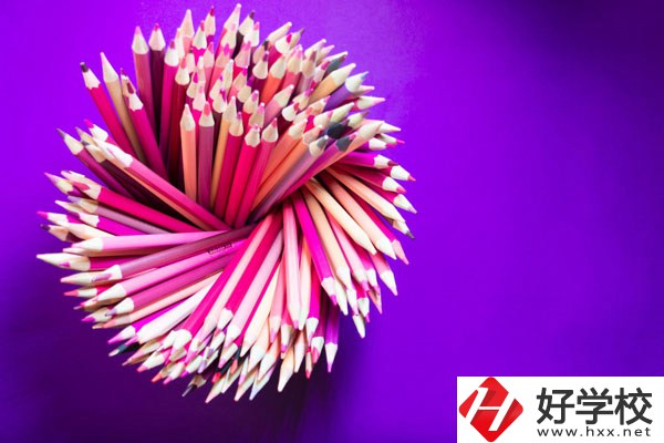 在懷化有什么職校可以學(xué)習(xí)幼師？好不好？
