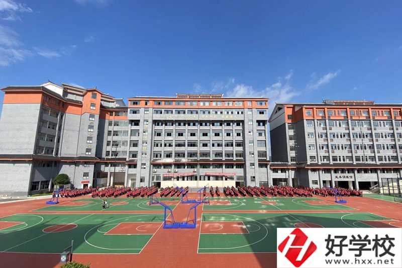 懷化市精武體育藝術(shù)職業(yè)學?；@球場