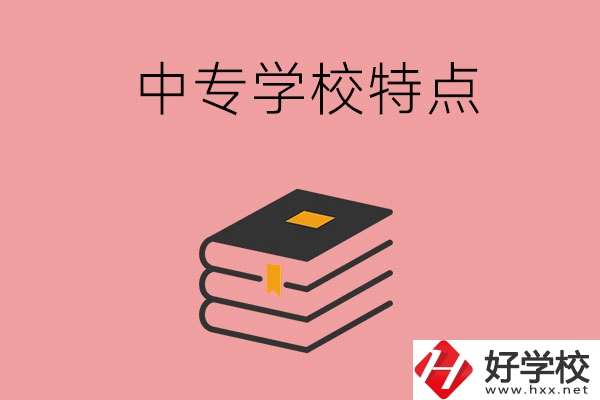 湖南省正規(guī)的中專(zhuān)學(xué)校，具備哪些特點(diǎn)？