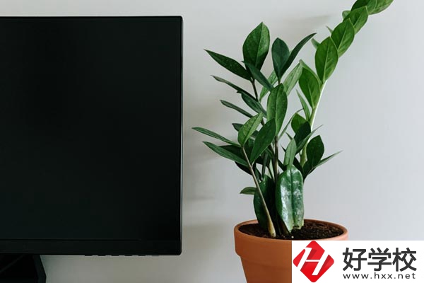 岳陽市網(wǎng)絡(luò)工程職業(yè)技術(shù)學(xué)校有哪些熱門專業(yè)？