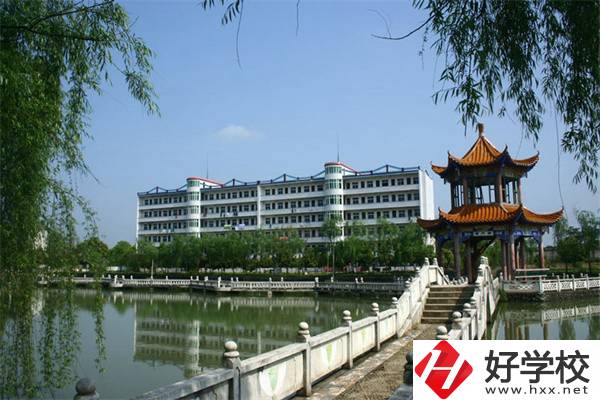 湖南想做程序員讀什么中職好？就業(yè)升學怎么樣？