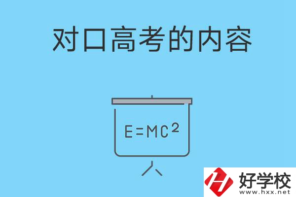湖南職高對(duì)口高考主要考什么內(nèi)容？難度大不大？