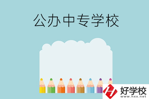 湖南地區(qū)有哪些公辦的中專學(xué)校可以推薦呢？