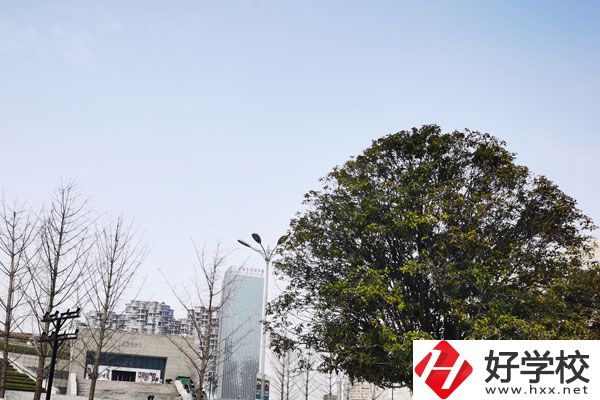 益陽科技工程學(xué)校有哪些專業(yè)？就業(yè)如何？
