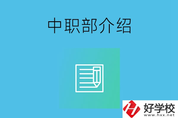 湘潭院校中職部介紹，這幾所學(xué)校你知道嗎？