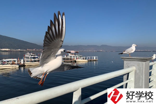 準備讀中專，衡陽縣職業(yè)中專好不好？