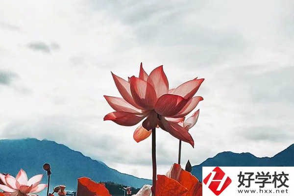 隆回華星職業(yè)技術(shù)學(xué)校有哪些專業(yè)？值得學(xué)生報(bào)考么？