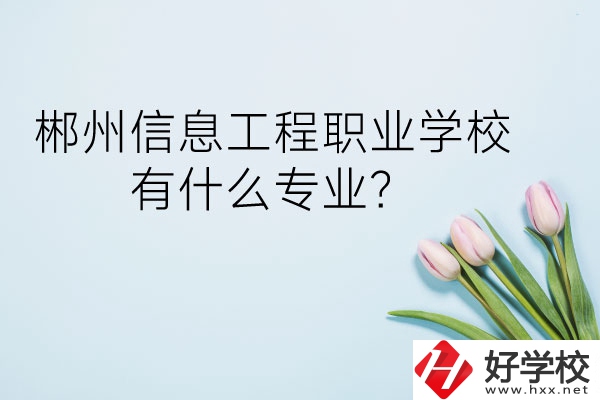 郴州信息工程職業(yè)學校有什么專業(yè)？