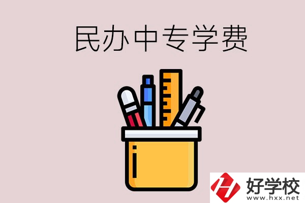 湘潭的民辦中專學校學費多少錢一年？