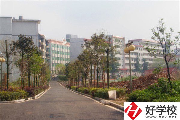 益陽有哪些高級技校？學(xué)校有什么亮點？
