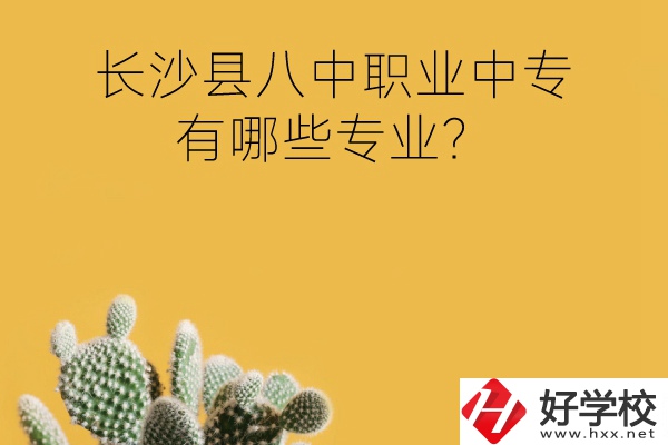 長沙縣八中職業(yè)中專好不好？有哪些專業(yè)？