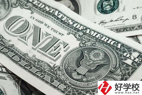 湖南的技校學(xué)費(fèi)貴嗎？有哪些補(bǔ)貼政策？