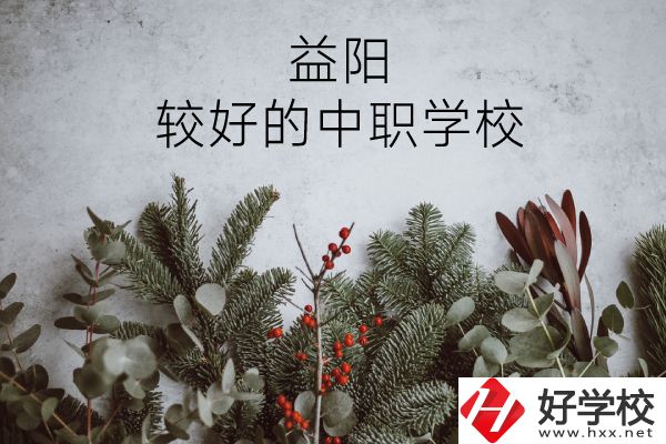 益陽(yáng)有哪些中職學(xué)校比較好？