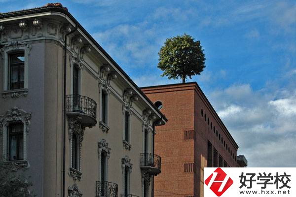 懷化有五年一貫制大專(zhuān)嗎？有哪些招生專(zhuān)業(yè)？