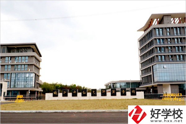 在株洲云龍職校城智慧路上有什么職校？