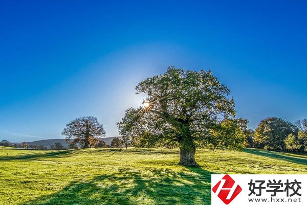 湘西旅游學(xué)校是一所怎樣的中專？
